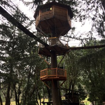 Out'n'About Treehouse Treesort - Hotels Near Me - Cave Junction, Oregon Out'n'About Treehouse Treesort - Hotels Near Me - Cave Junction, Oregon
