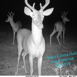 Owen Farms Hunting Preserve
