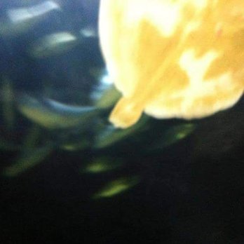 Deep Sea World - Deep Sea World - Aquariums Near Me - North Queensferry, FIF