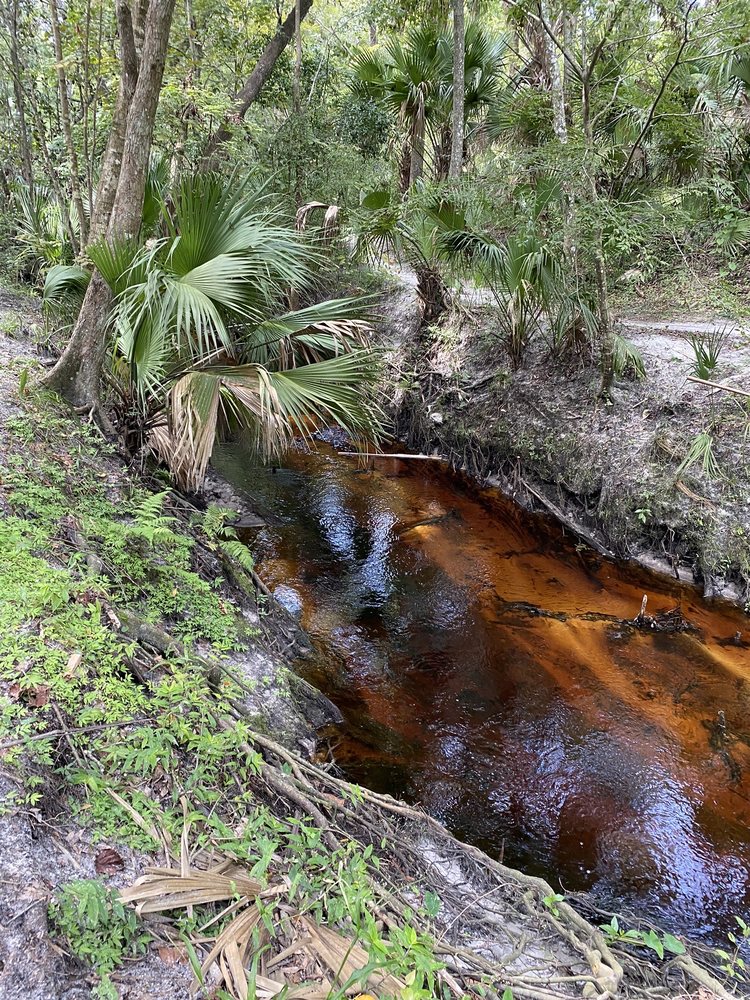 Soldier's Creek Park Image