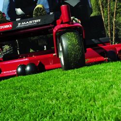 Basic Lawn Service