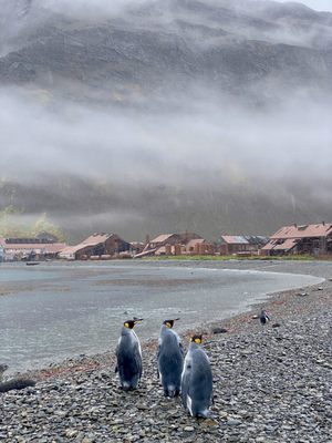 Lindblad Expeditions by null