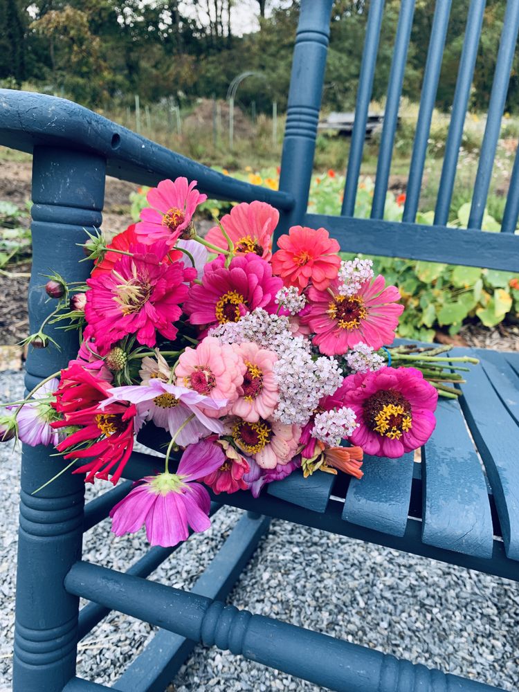 ZINCSEED GARDEN FLOWER FARM Updated August 2024 Request Information 651 Pardue Rd, Sparta