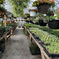 Yutzy Greenhouse