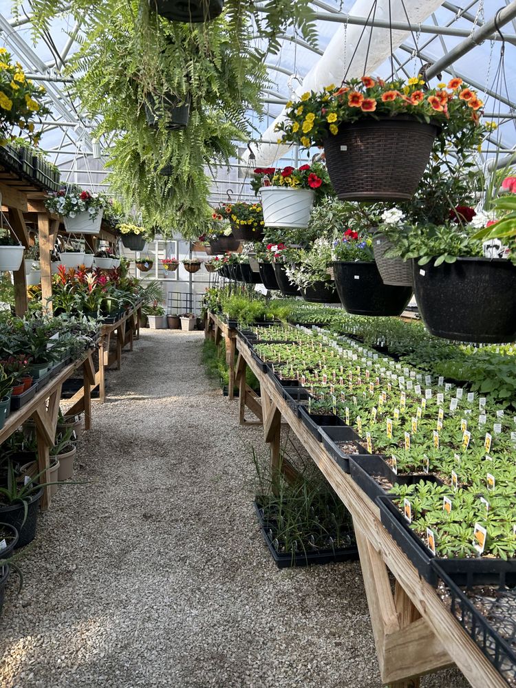 YUTZY GREENHOUSE Updated October 2024 11 Photos 601 NW 4th St