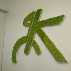 Kiwill - Le logo de la salle, sur le mur.