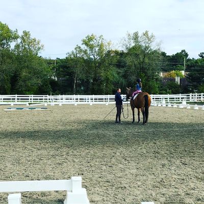 Bergen Equestrian Center 38 Photos 24 Reviews Horseback Riding 40 Fort Lee Rd Leonia Nj United States Phone Number