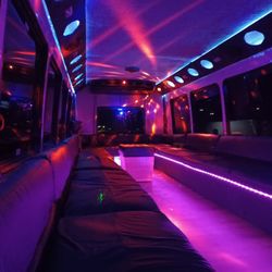 All In Transportation - 30 pass interior