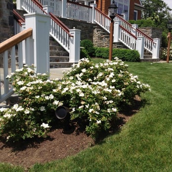 Elite Home Technologies - Enjoy nearly invisible outdoor audio solutions that sound incredible. - Electronics Near Me - Broomall, Pennsylvania