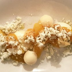Restaurant Mumm - Mango, hvid chokolade og rosmarin