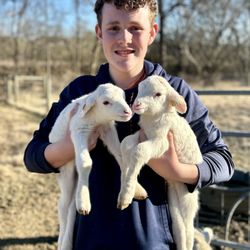 Buffalo Creek Farm and Creamery