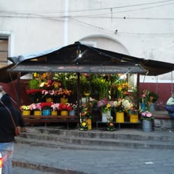 El Girasol