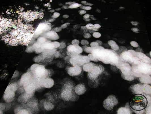 Kenting National Forest Recreation Area by null