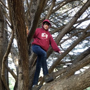 Bodega Dunes Campgrounds - Somebody likes to climb trees - Campgrounds Near Me - Bodega Bay, California Bodega Dunes Campgrounds - Somebody likes to climb trees - Campgrounds Near Me - Bodega Bay, California