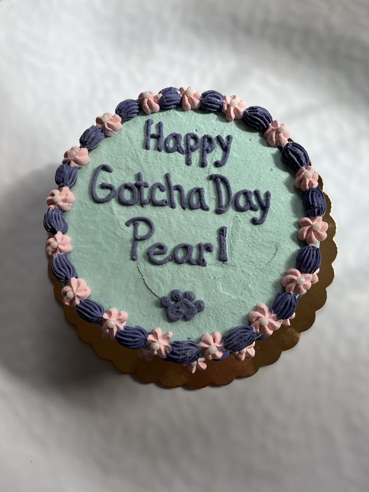 LONG DOG FAT CAT MIDTOWN Updated September 2024 53 Photos & 17