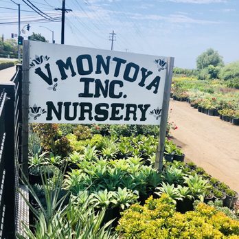 V Montoya Nursery - Nurseries & Gardening Near Me - Orange, California V Montoya Nursery - Nurseries & Gardening Near Me - Orange, California
