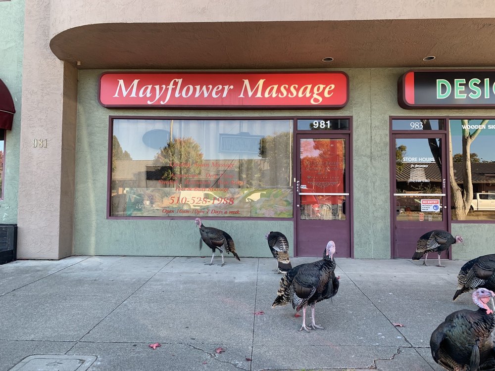 MAYFLOWER MASSAGE Updated August 2024 981 San Pablo Ave, Albany