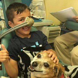 Rebecca Testa Pediatric Dentistry