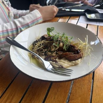 Midtown Table - Duck - Italian Near Me - Jacksonville, Florida Midtown Table - Duck - Italian Near Me - Jacksonville, Florida