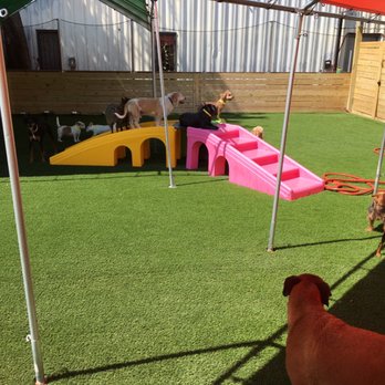 Barney's Ranch - Pet Boarding Near Me - Carrollton, Texas Barney's Ranch - Pet Boarding Near Me - Carrollton, Texas