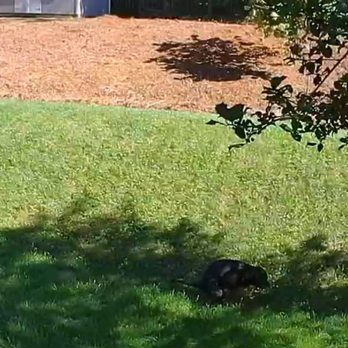 ET General Contractor - Backyard Before - Landscaping Near Me ET General Contractor - Backyard Before - Landscaping Near Me