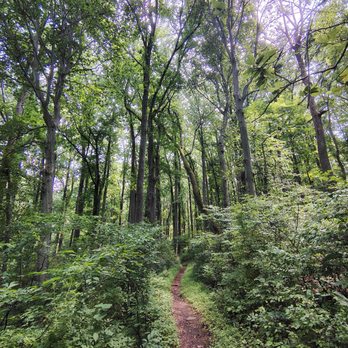 Ridley Creek State Park - Hiking Near Me - Media, Pennsylvania
