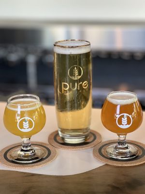 Pure Project Balboa Park by null