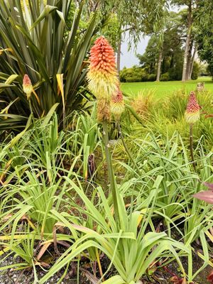 Killarney National Park by null