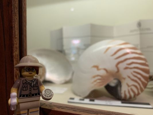 Royal Tyrrell Museum by null