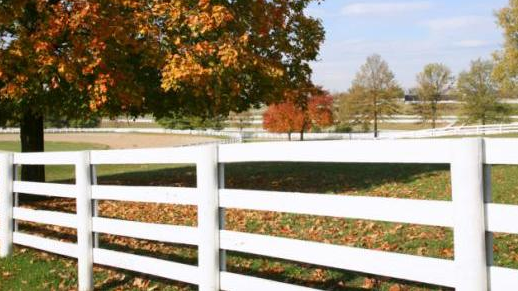 Silver Leaf Landscaping and Construction