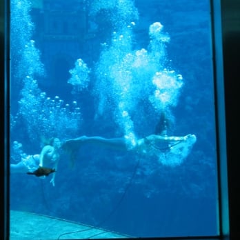 Weeki Wachee Springs - two mermaids exhale from their breathing tubes, and perform their choreographed dance to "proud to be an american." - Amusement Parks Near Me - Spring Hill, Florida Weeki Wachee Springs - two mermaids exhale from their breathing tubes, and perform their choreographed dance to "proud to be an american." - Amusement Parks Near Me - Spring Hill, Florida