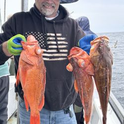 Morro Bay Landing
