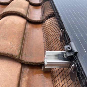 Global Solar Panel Cleaning - Pigeon proofing fence - Solar Panel Cleaning Near Me Global Solar Panel Cleaning - Pigeon proofing fence - Solar Panel Cleaning Near Me