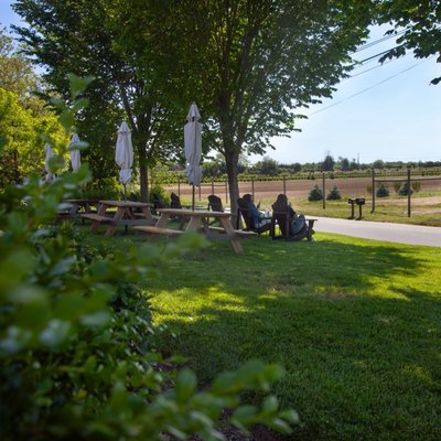 Suhru & Lieb Vineyards by null