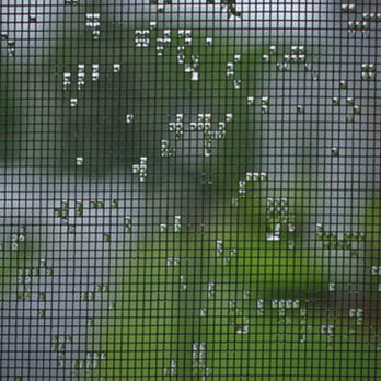 Right Now Window Screens - Any season, be prepared! - Windows Installation Near Me - Bonney Lake, Washington Right Now Window Screens - Any season, be prepared! - Windows Installation Near Me - Bonney Lake, Washington