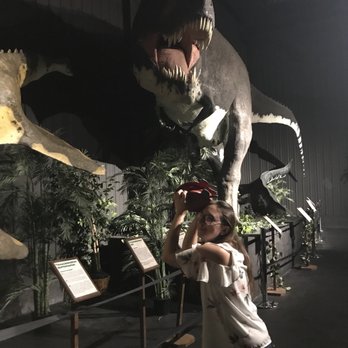 Dinosaur Museum - Museums Near Me - Branson, Missouri