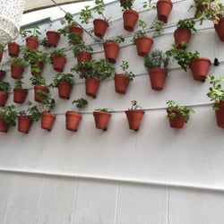 Macsura - Part of the patio
