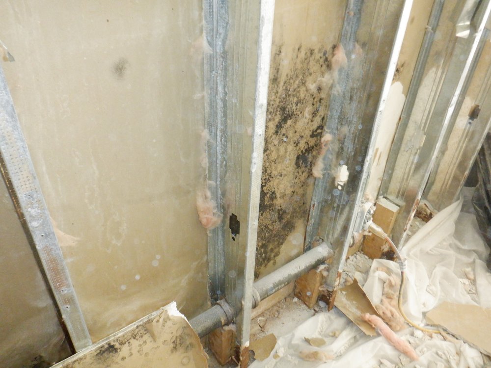 Slide of Floodsmen Disaster Cleanup