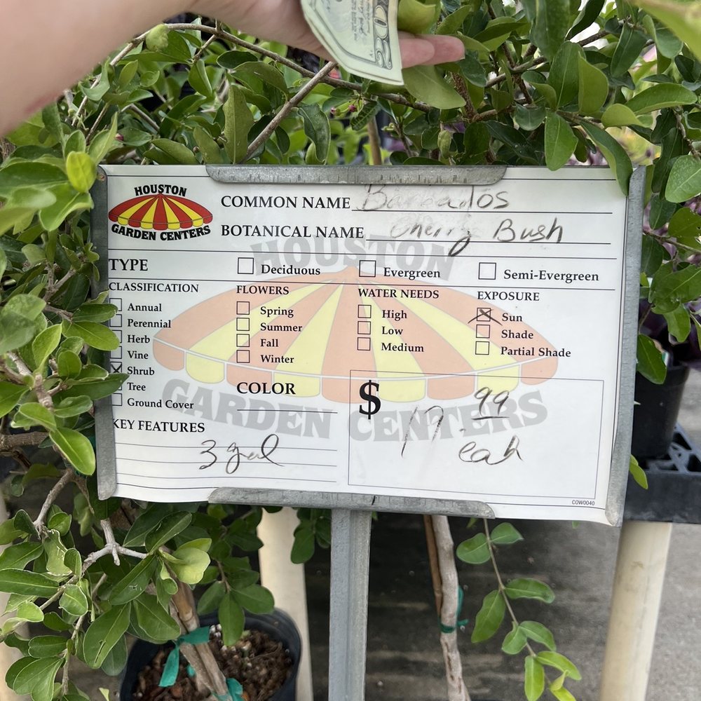 Houston Garden Center Conroe Phone Number Fasci Garden