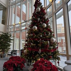 Mass General Brigham And Womens Labs - Holiday 2025