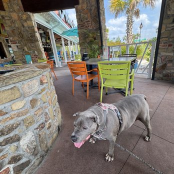 Bahama Breeze - Bars Near Me - Lutz, Florida