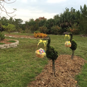 Punta Gorda Nature Park - Daddy, it's the easter bunny, uh, ibis.... - Parks Near Me - Punta Gorda, Florida