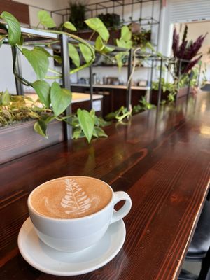 Nossa Familia Coffee by null