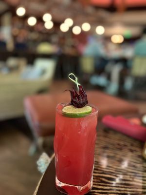 Nomad Lounge by null