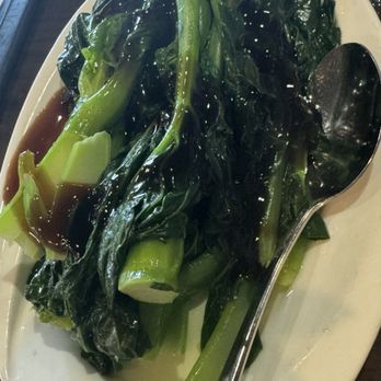 Hong Kong Bistro - Chinese Broccoli with Oyster Sauce - Dim Sum Near Me - Jacksonville, Florida Hong Kong Bistro - Chinese Broccoli with Oyster Sauce - Dim Sum Near Me - Jacksonville, Florida