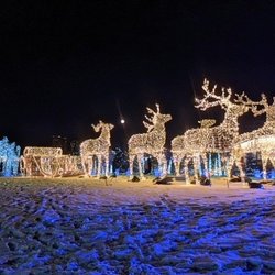 Nights of Lights