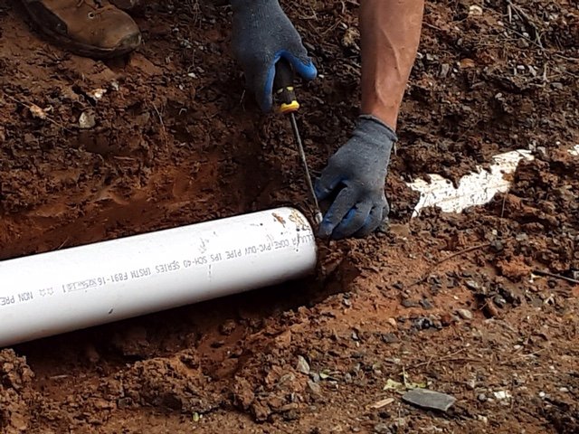 Slide of Nature Tamers of North Carolina