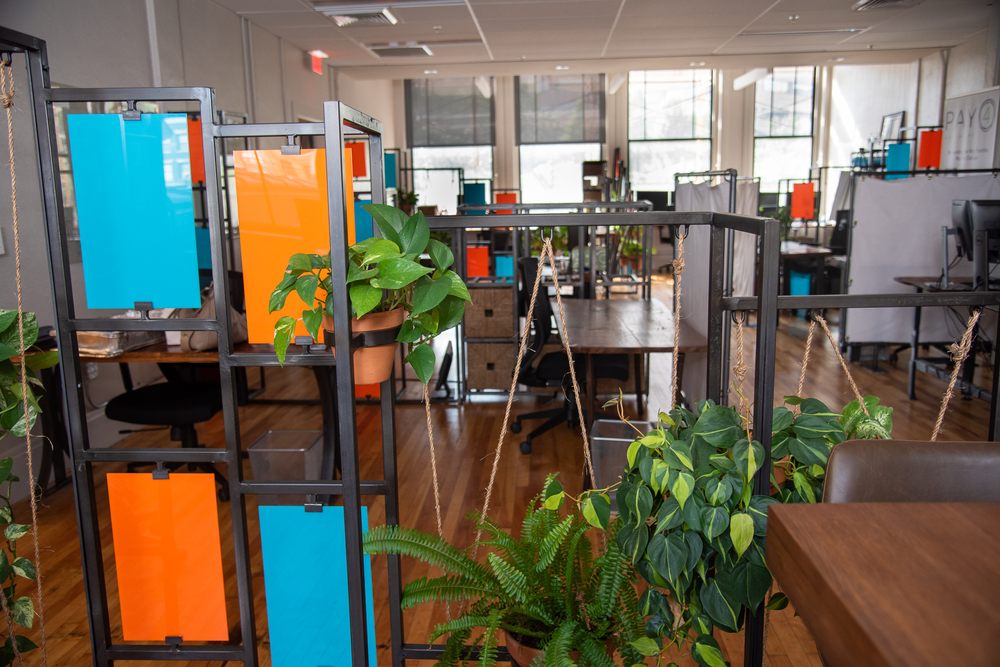 Valley Venture Mentors - social services organization in Springfield, MA