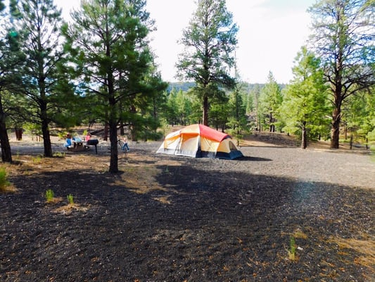 Bonito Campground by null