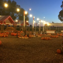 Prancer's Pumpkin Village - Prancers Pumpkin patch